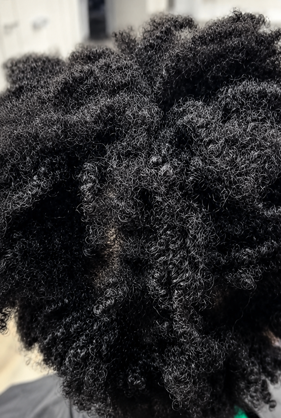 Starter Locs — before